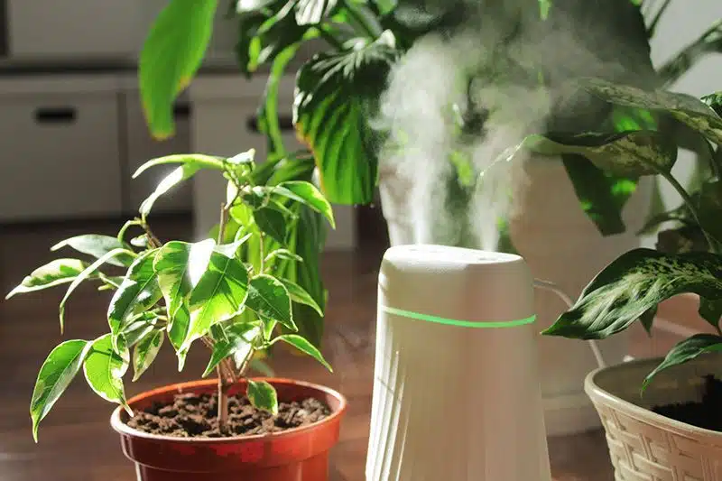 indoor air quality from humidifier, clean air quality